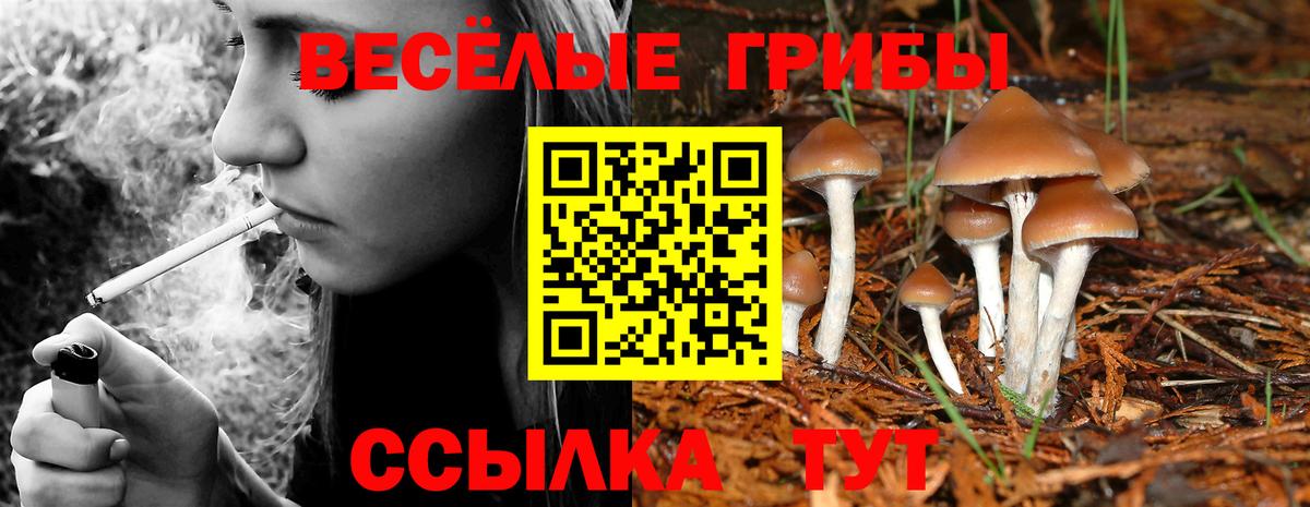 Галлюциногенные грибы прущие грибы  Вход с VPN  Псилоцибиновые грибы мухоморы  Ейск 